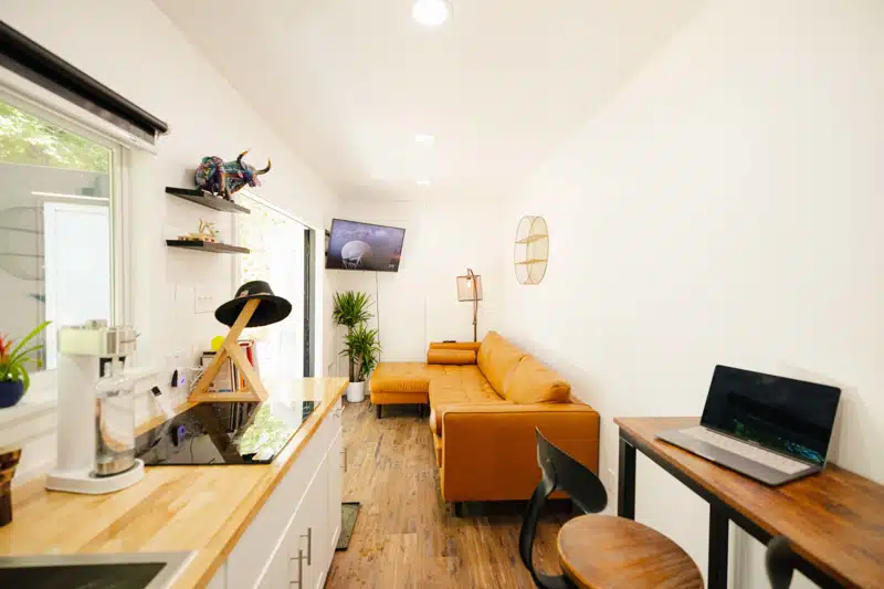 The Mulberry 2