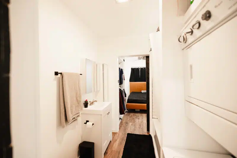 The Mulberry 3